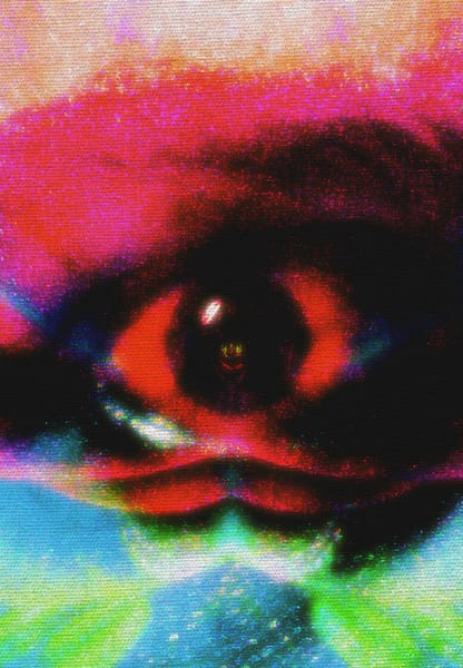 Warp Experiement Project (40)